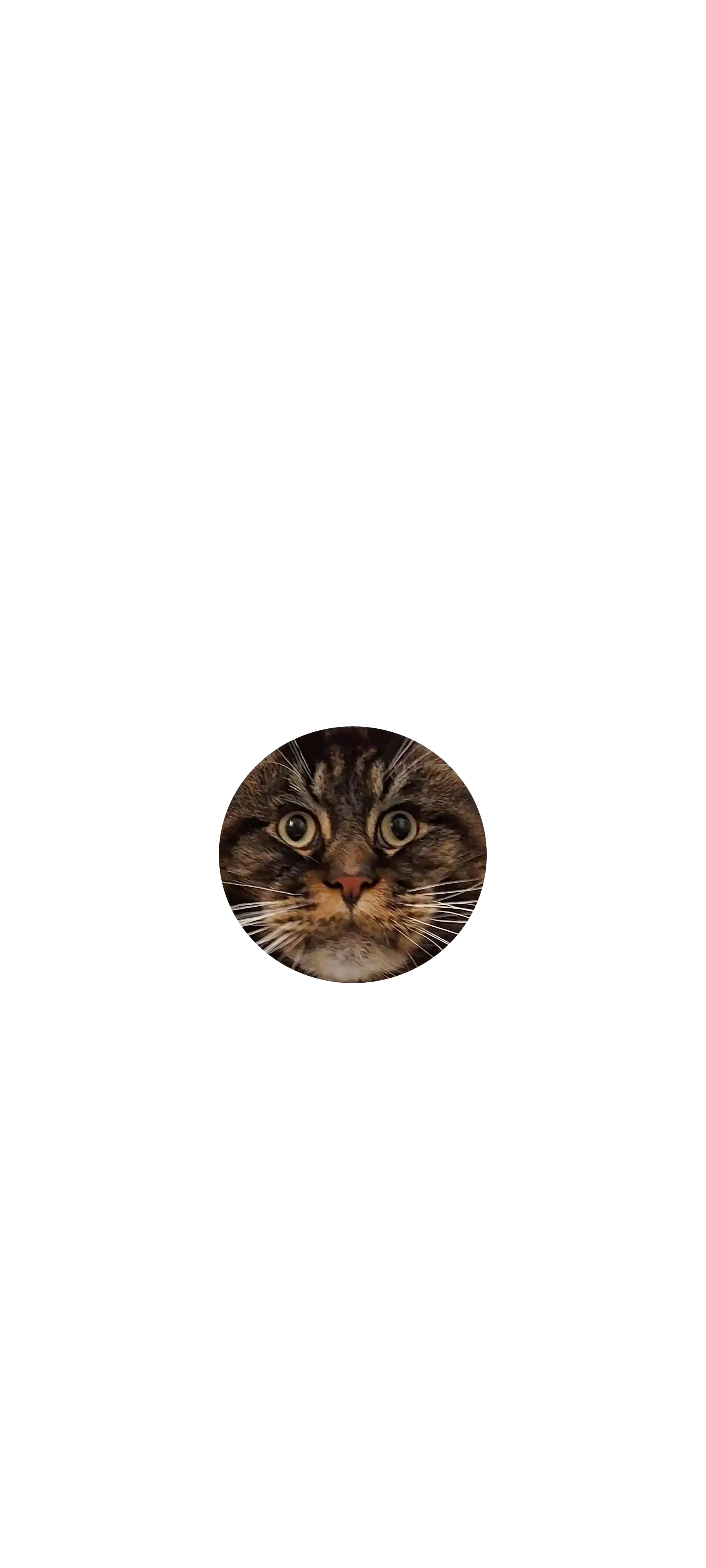 wilson sorprendido